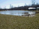 Cayuga County Trail; Fair Haven